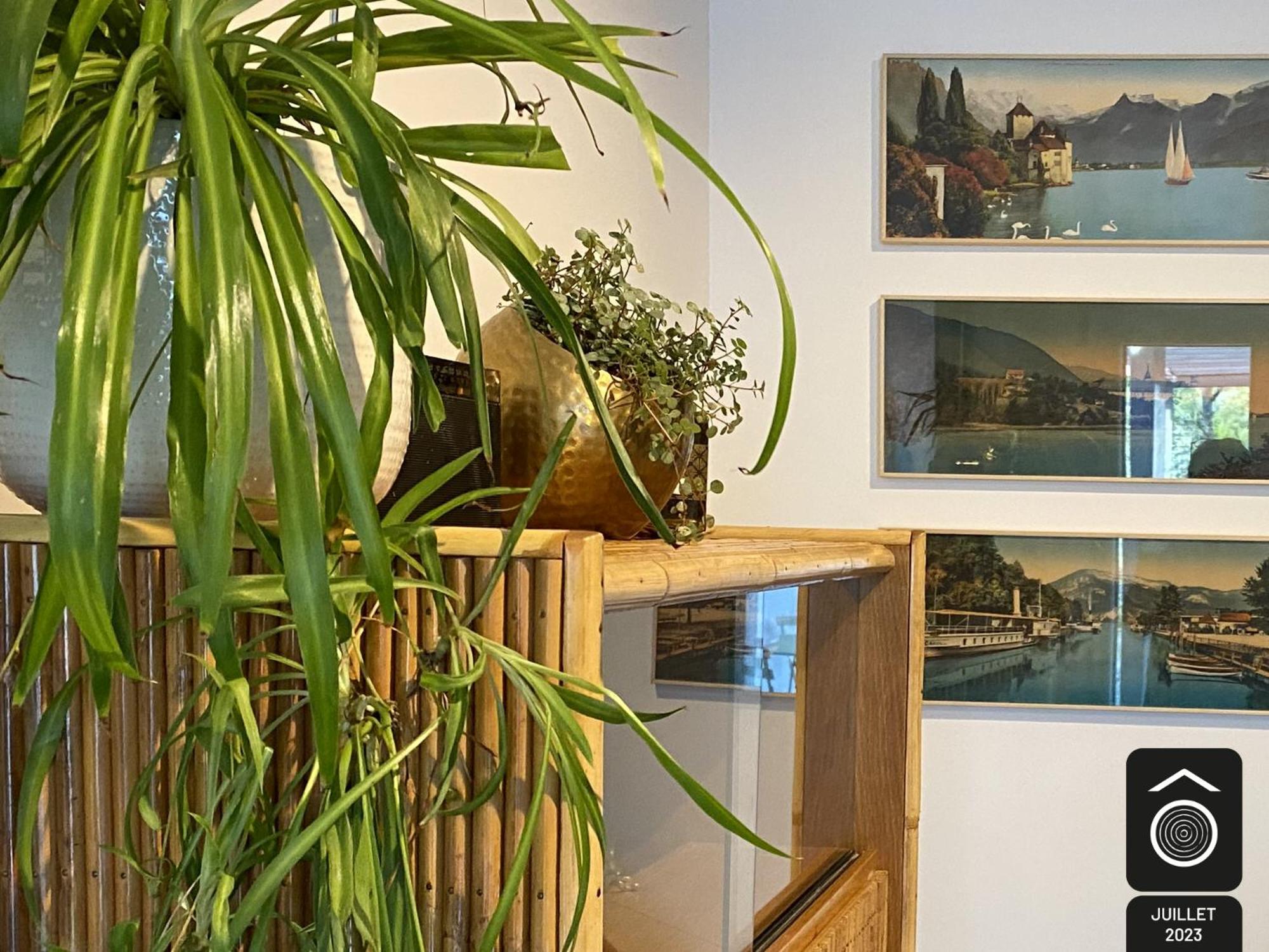 Maison Souche *